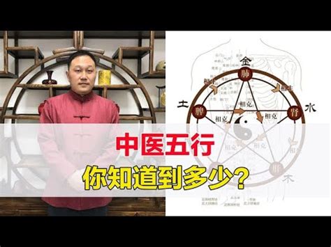 中醫五行對應人體五官|中醫入門系列第四集：中醫的五行